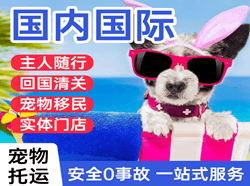 阿拉尔塔里木空运公司国际宠物托运 【国